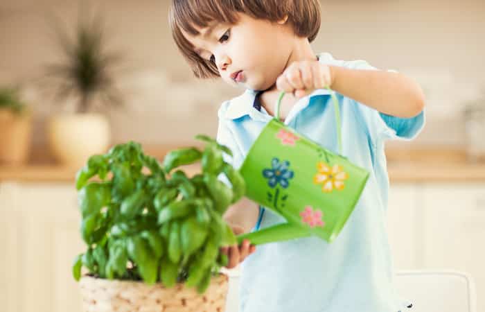 niño regando planta en casa niño regando plantas