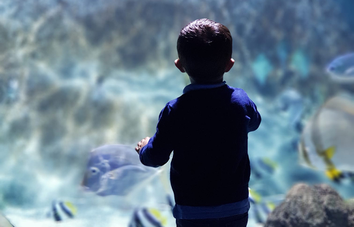 Bioparc Acuario de Gijón