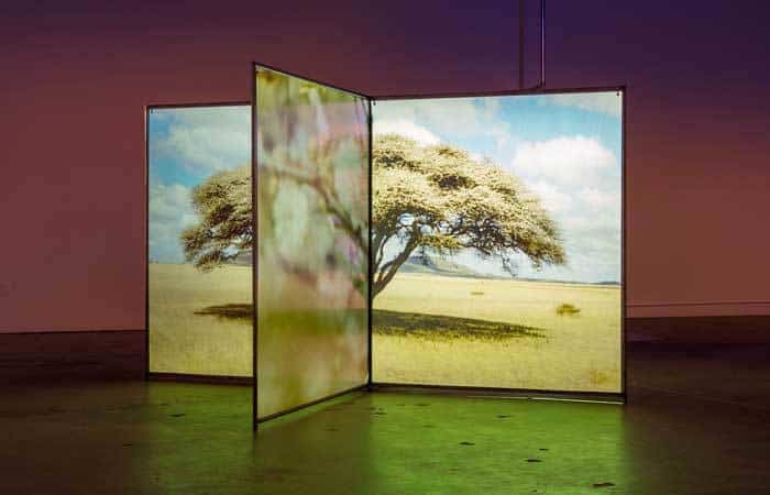Diana Thater: Un mundo a la fuga