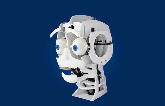 Robots. Los humanos y las máquinas
