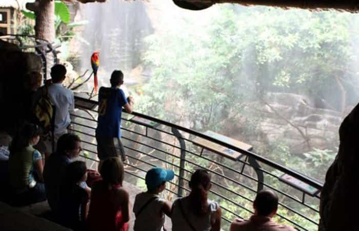 Ecosistema tropical La Jungla Salidas escolares: excursión a Faunia