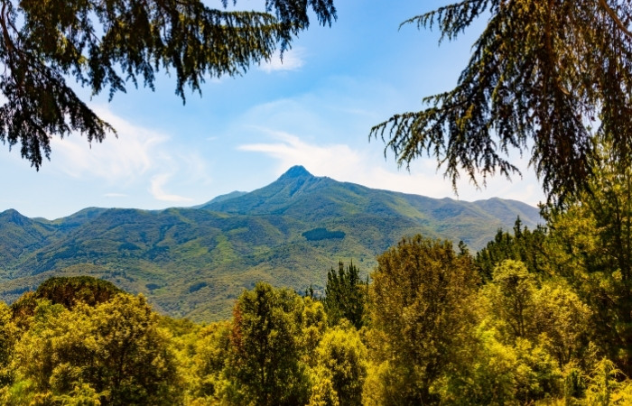 Parque Natural de Montseny en Barcelona
