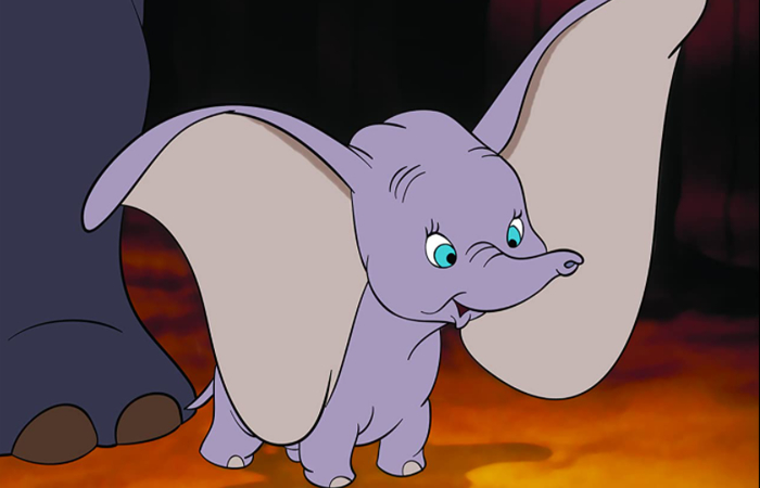 dumbo dumbo