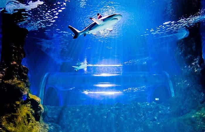 Acuario de Lanzarote