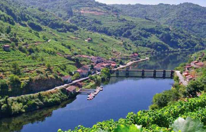 Tren de la Ruta de la Lamprea, Pontevedra