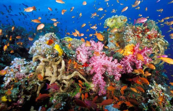 blue planet Blue Planet