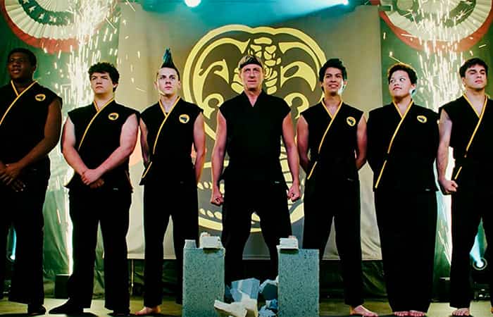 cobra-kai Series de estreno en Netflix: Cobra Kai