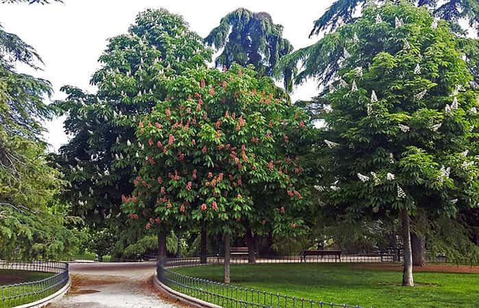 Parque de Berlín en Madrid