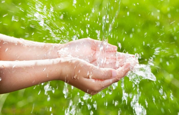 Día Mundial del Agua