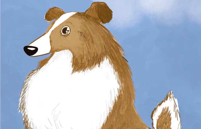 Cuentos de animales que han cambiado el mundo