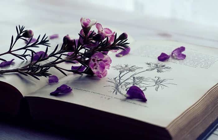 Cuentos sobre la primavera. Libro primavera