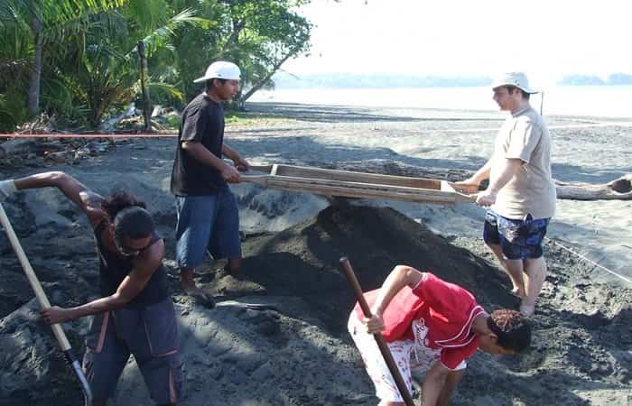 voluntariado-costa-rica Colaborar con tortugas en Costa Rica