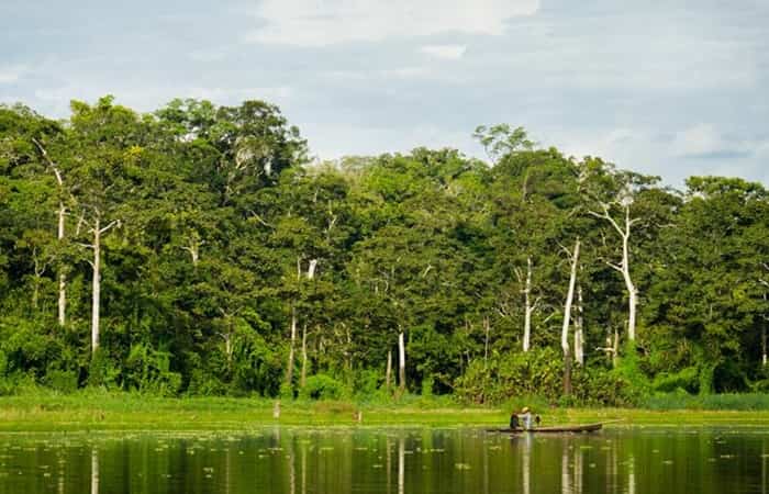 Reserva Nacional Pacaya Samiria, Perú imprescindibles de perú