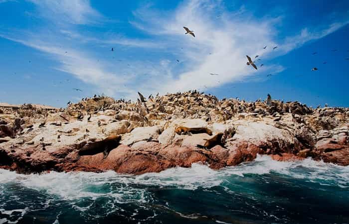 Reserva Nacional de Paracas y las Islas Ballestas, Perú imprescindibles de perú
