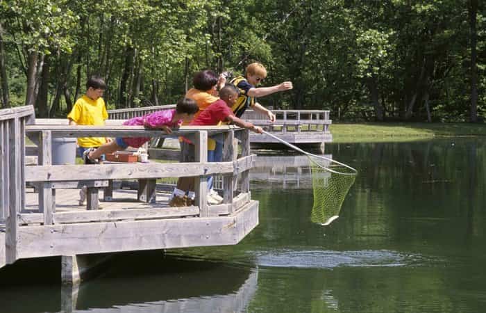 La pesca con niños es una actividad al aire muy entretenida