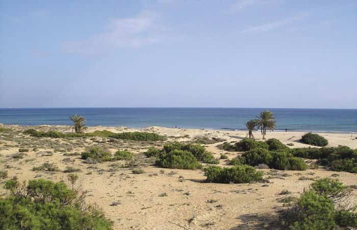 Playa Carabassi en Elche, Alicante