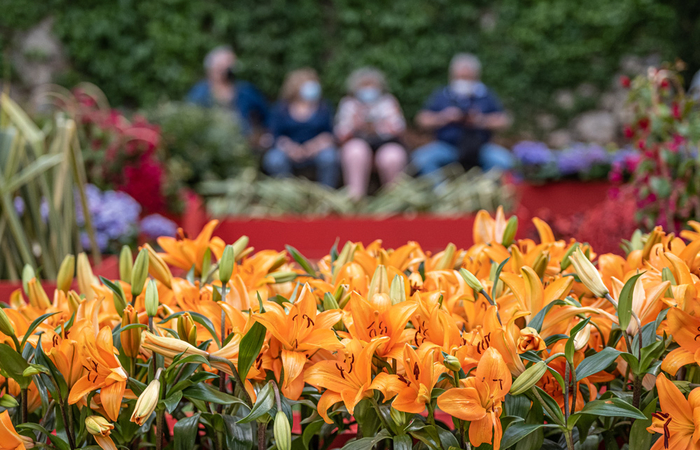 Temps de Flors, una fiesta que llena Girona de flores