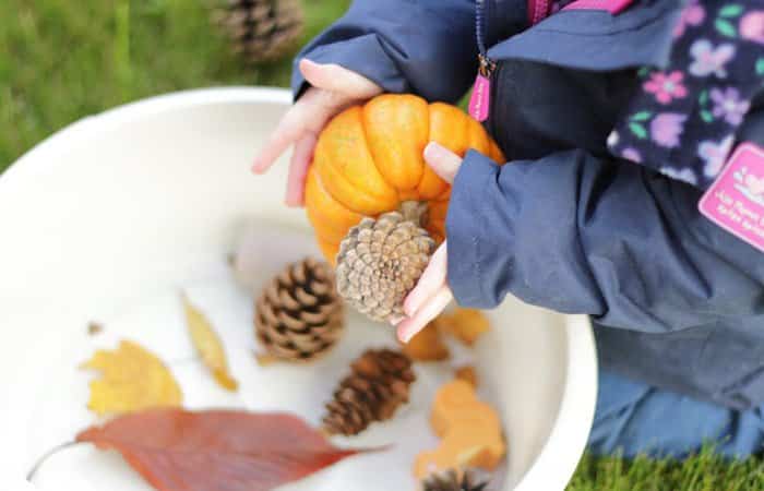 Cestos sensoriales otoño Cestos sensoriales otoño