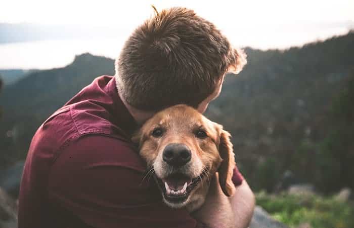 Películas sobre mascotas. Abrazo