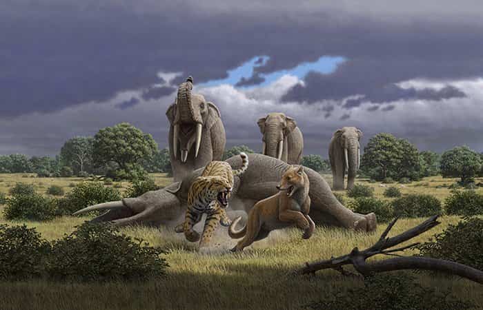 Sables y mastodontes