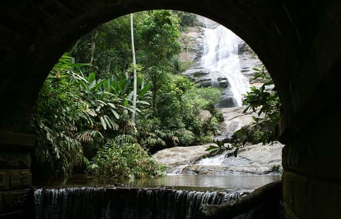 brasil-floresta-de-Tijuca Brasil, Floresta de Tijuca