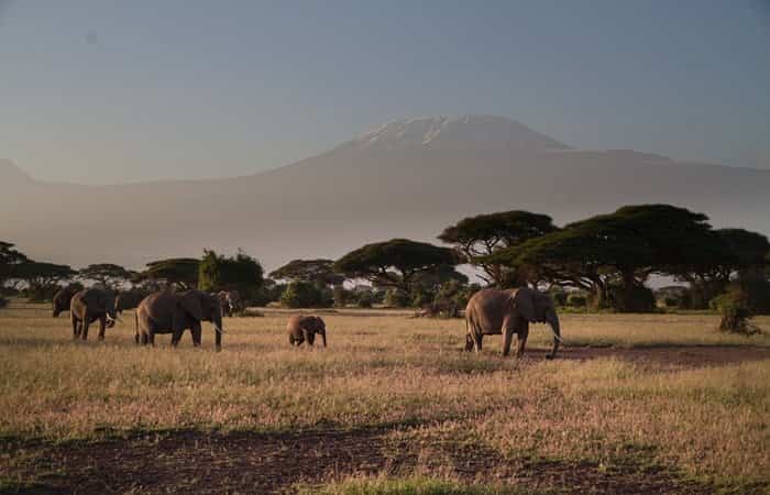 destinos-exoticos-y-seguros-kenya Kenya es uno de los destinos exóticos y seguros del continente africano