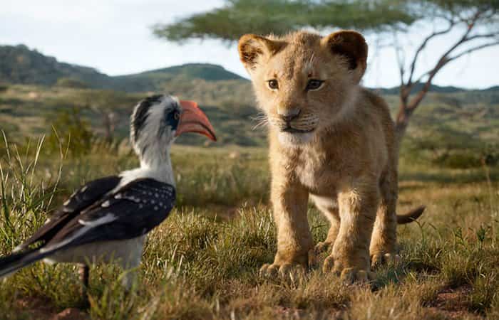 El Rey León de Disney Live Action