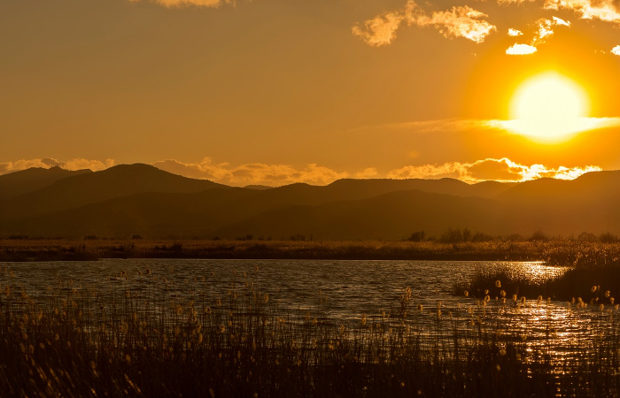 Parque Natural del Prat de Cabanes-Torreblanca en Castellón