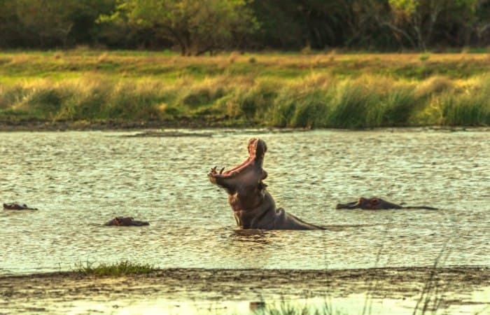 Parque del Humedal de iSimangaliso sudáfrica