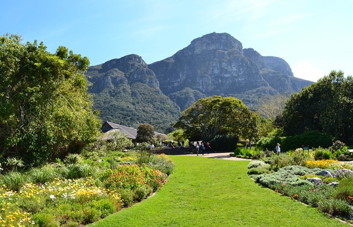 Jardín Botánico Kirtenbosch sudáfrica