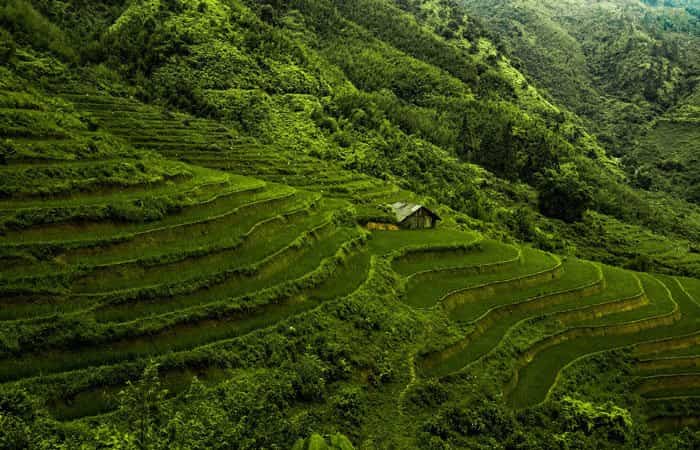Vietnam Qué ver en Vietnam