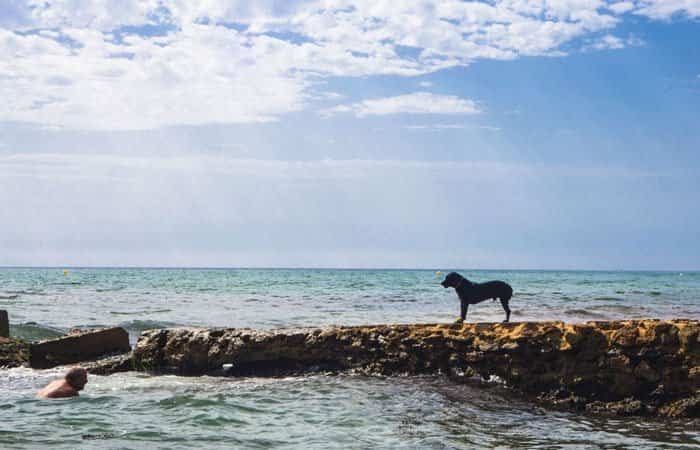 Playa de Agua Amarga en Alicante