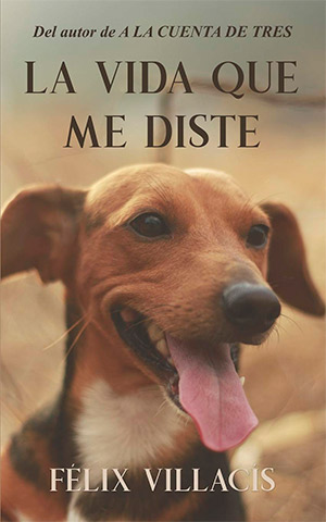 La vida que me diste