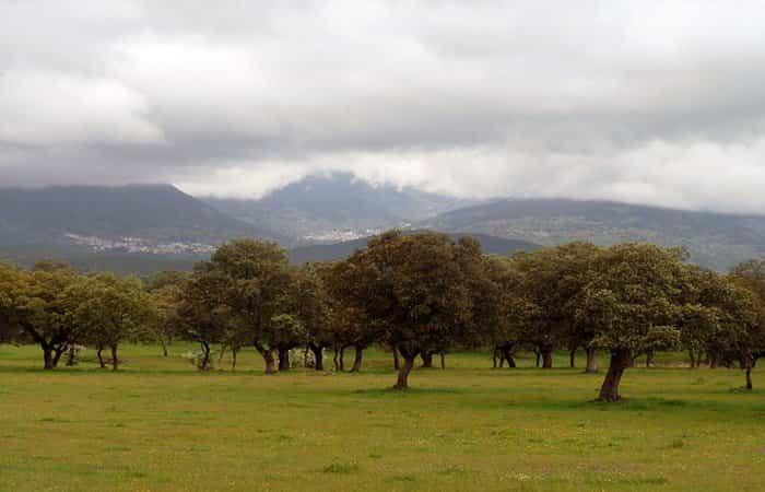 Valle del Tiétar Turismo ecuestre por el Valle del Tiétar