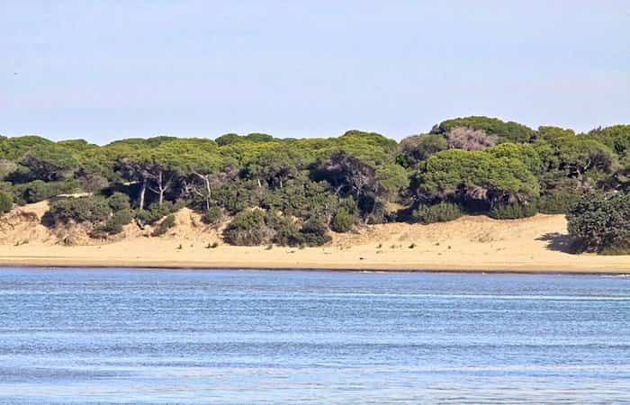 Costa del Parque Natural y Nacional de Doñana (Huelva) Paseos por la costa de Doñana