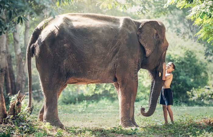 Consejos imprescindibles para tu primer viaje a Tailandia
