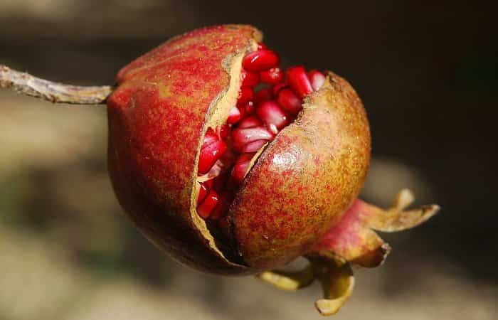 Partir granadas Trucos para partir frutas: la granada
