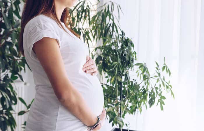 Espectro Alcohólico Fetal