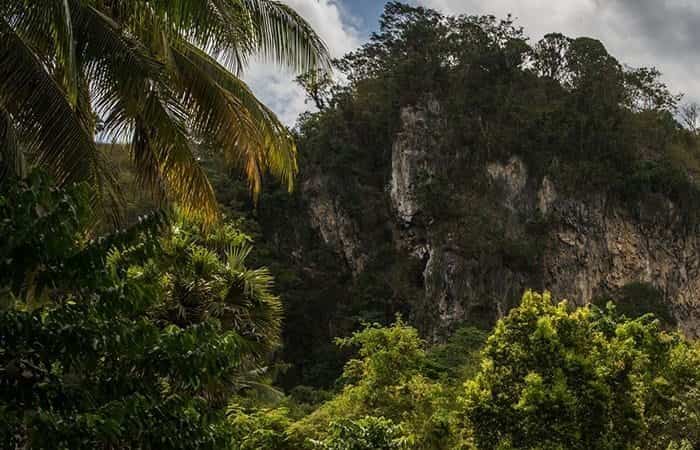 destinos de Asia para familias destinos de Asia para familias