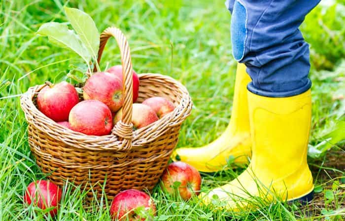 Alimentación y crisis climática