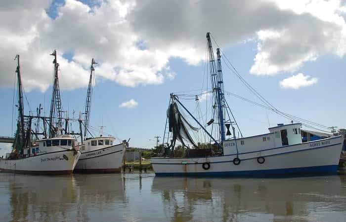 Alimentación y crisis climática_Pesca alimentación y crisis mediática, influencia en la pesca