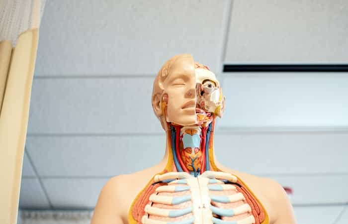 Inflamación por amigdalitis