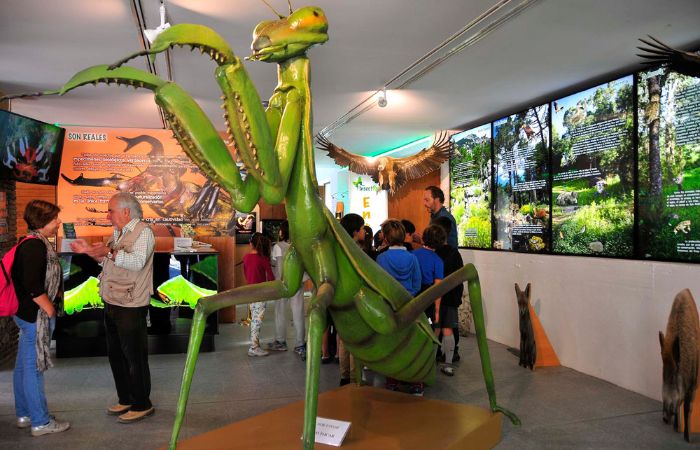 InsectPark, un centro de naturaleza único en Europa