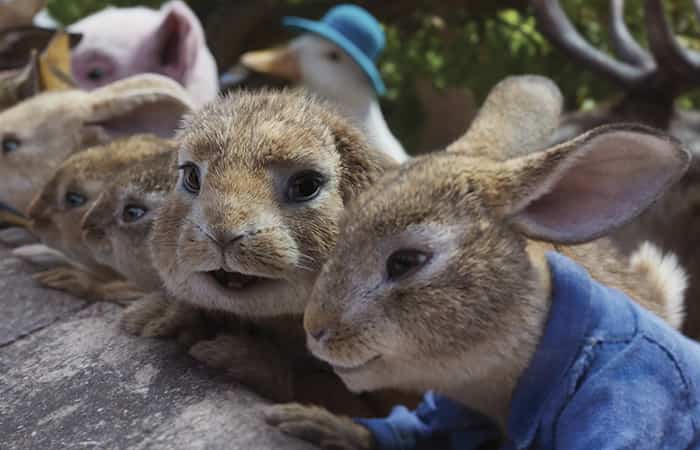 Peter Rabbit 2