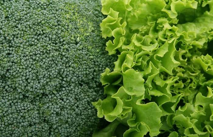 Vitamina K en vegetales