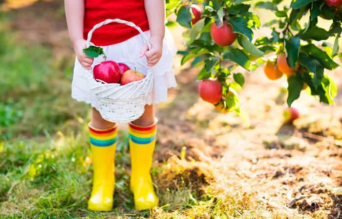 Alergia a la fruta