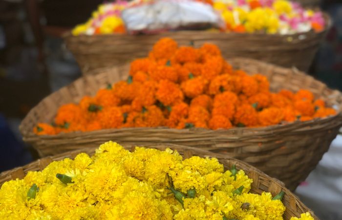 celebrar día de la madre en India, con flores celebrar el día de la madre, con flores