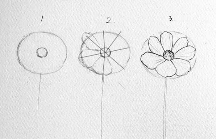 Cómo dibujar flores en tres pasos Cómo dibujar flores en tres pasos