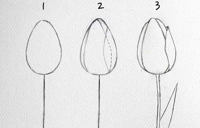 Cómo dibujar flores fáciles Cómo dibujar flores fáciles