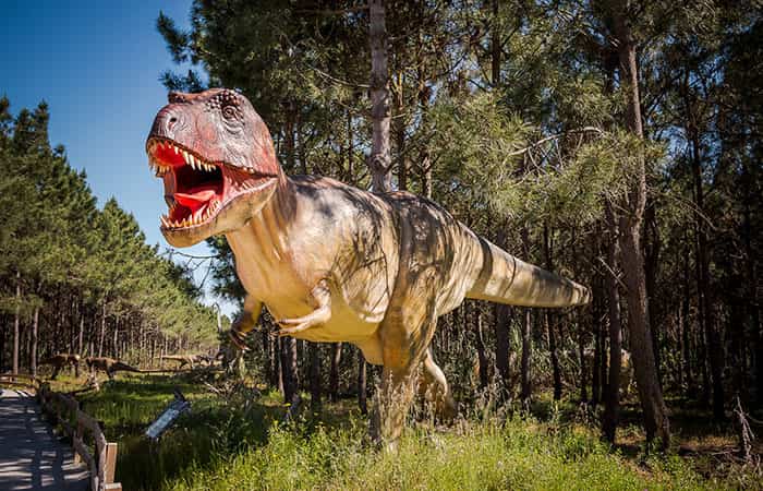 Dino Parque